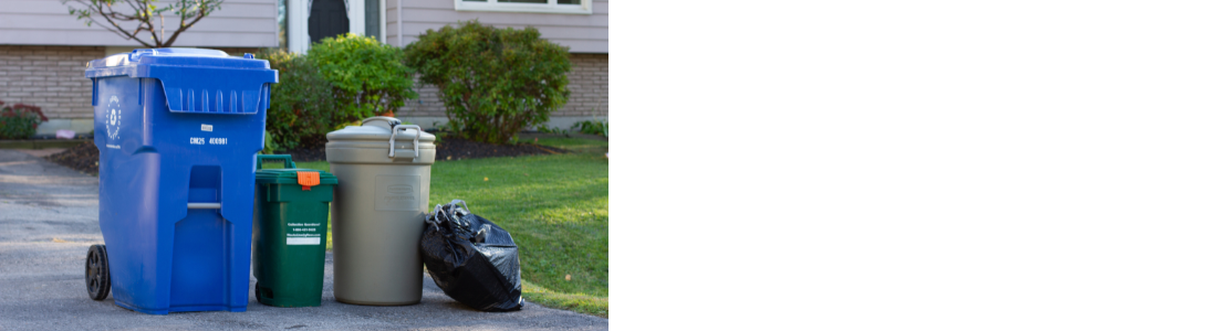 Waste and recycling bins at the end of the driveway